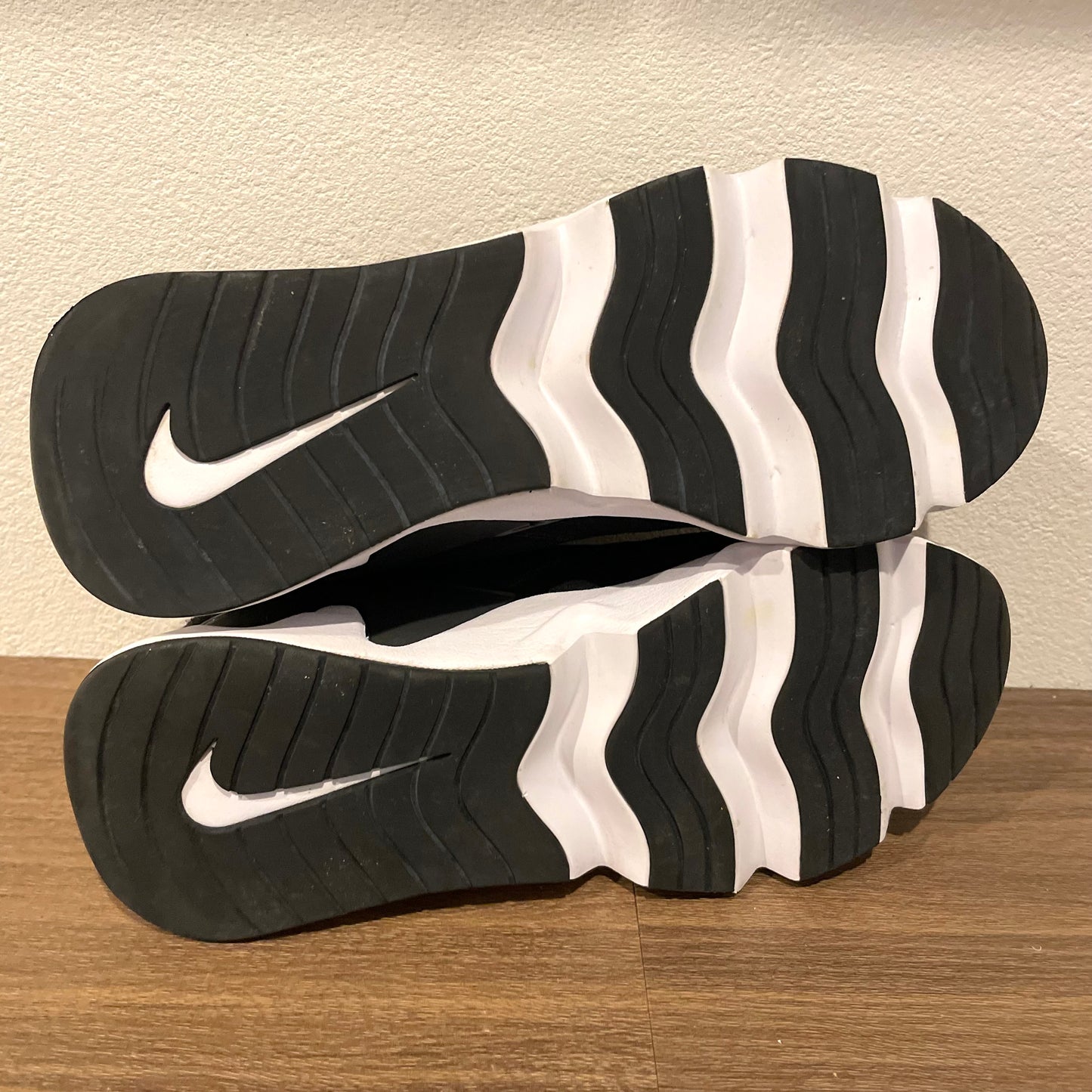 NIKE RYZ 365 II 24.5cm