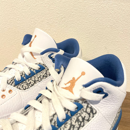 NIKE AIR JORDAN 3 RETRO True Blue and Copper 28cm